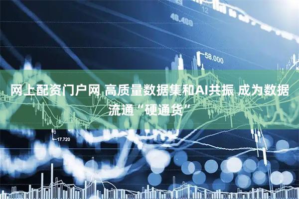 网上配资门户网 高质量数据集和AI共振 成为数据流通“硬通货”